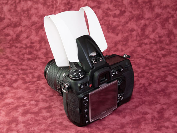 Nikon D300 ストロボディフューザー装着状態２