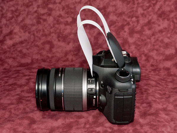Canon EOS 7D ストロボディフューザー装着状態３
