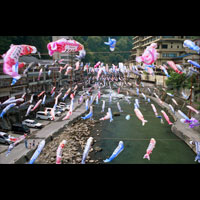 Koinobori Festival / 鯉のぼり祭り